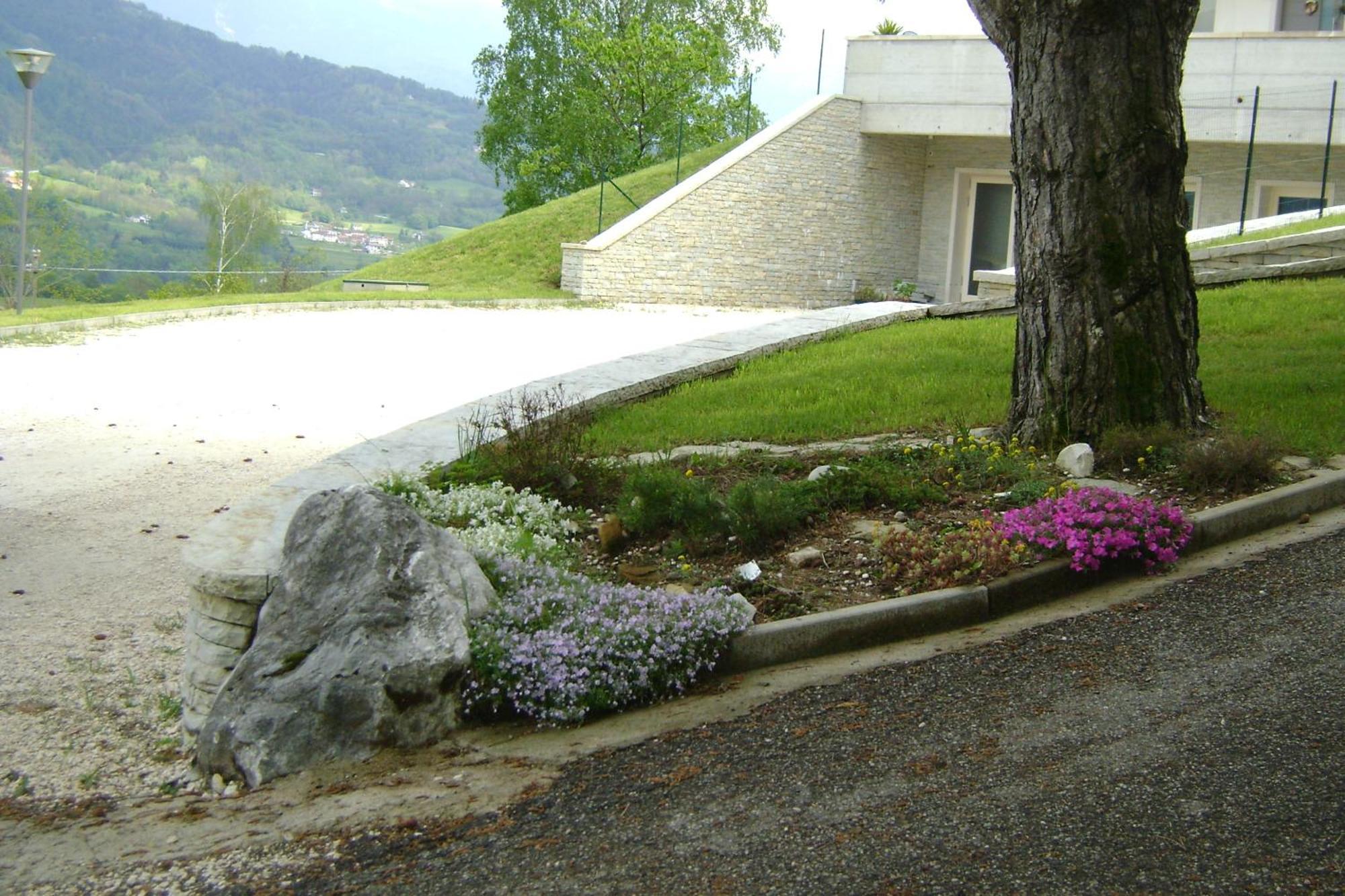 Affittacamere Rubino Guest House Ponte nellʼAlpi المظهر الخارجي الصورة