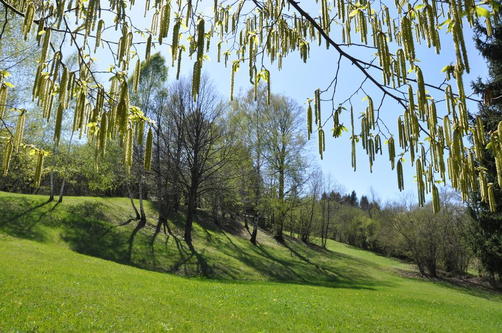 Affittacamere Rubino Guest House Ponte nellʼAlpi المظهر الخارجي الصورة