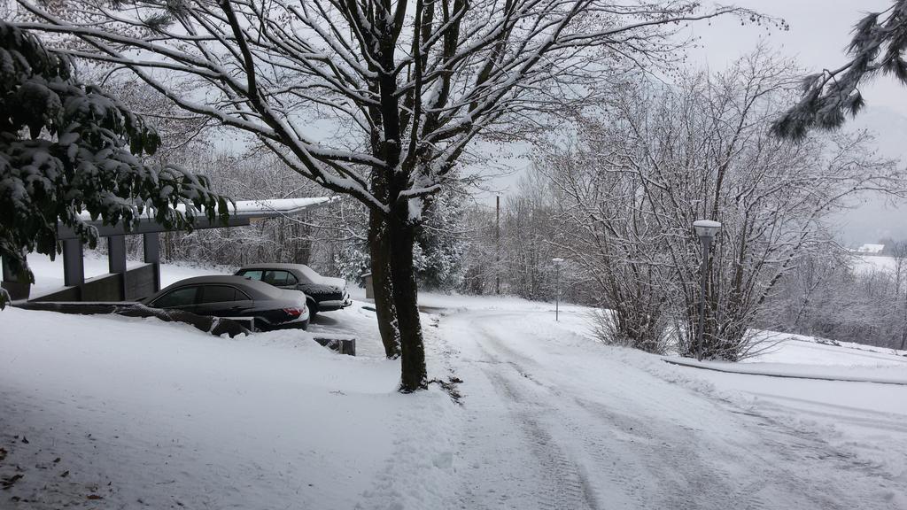 Affittacamere Rubino Guest House Ponte nellʼAlpi المظهر الخارجي الصورة